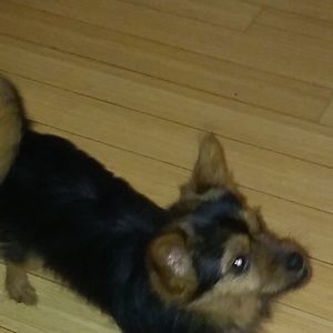 Meet your Posher, Candy